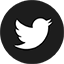 Twitter logo in grayscale